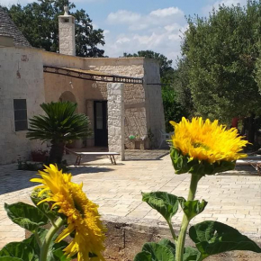 Trulli: La pace dei sensi Alberobello